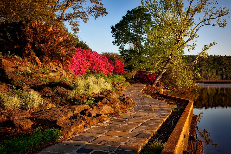 mulch and plants