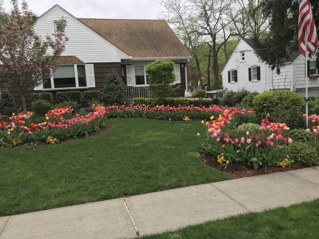 landscapers staten island